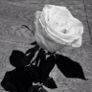 Meet your Posher, Ayana